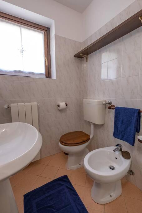 Happy Guest Apartments - Alpin Vista Colere Exterior photo